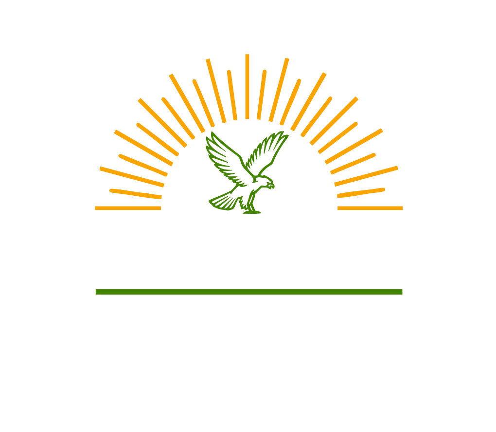 Falcon for Real Estate